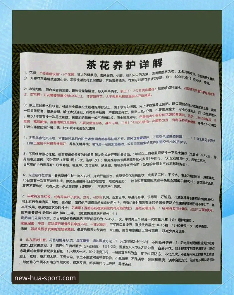 华体育怎么玩 华体育怎么玩?新手必看的4个快速上手技巧与操作指南